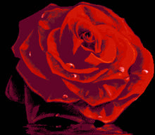 Lade das Bild in den Galerie-Viewer, Stickpackung mit Perlen "Rose 18"