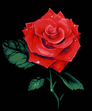 Lade das Bild in den Galerie-Viewer, Stickpackung mit Perlen "Rose 21"