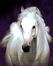 Lade das Bild in den Galerie-Viewer, Stickpackung mit Perlen "Schimmel"