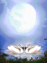 Lade das Bild in den Galerie-Viewer, Stickpackung mit Perlen "Schwäne unter dem Mond"