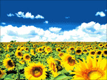 Lade das Bild in den Galerie-Viewer, Stickpackung mit Perlen "Sonnenblumen"