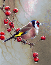 Lade das Bild in den Galerie-Viewer, Stickpackung mit Perlen "Stieglitz"