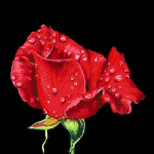 Lade das Bild in den Galerie-Viewer, Stickpackung mit Perlen "Die Tautropfen"