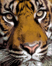 Lade das Bild in den Galerie-Viewer, Stickpackung mit Perlen "Ein Tiger"