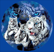 Lade das Bild in den Galerie-Viewer, Stickpackung mit Perlen "Tiger"