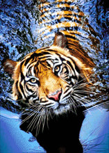 Lade das Bild in den Galerie-Viewer, Stickpackung mit Perlen "Tiger im Fluss"
