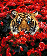 Lade das Bild in den Galerie-Viewer, Stickpackung mit Perlen "Tiger in Blumen"