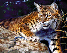 Lade das Bild in den Galerie-Viewer, Stickpackung mit Perlen "Treffen auf der Jagd"