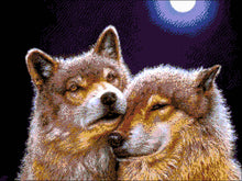 Lade das Bild in den Galerie-Viewer, Stickpackung mit Perlen "Unter dem Mond"