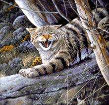 Lade das Bild in den Galerie-Viewer, Stickpackung mit Perlen "Waldkater"