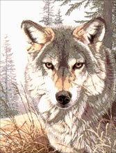 Lade das Bild in den Galerie-Viewer, Stickpackung mit Perlen "Wolfsblick"