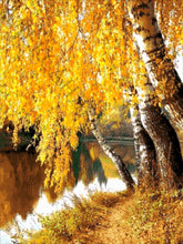 Lade das Bild in den Galerie-Viewer, Stickpackung mit Perlen "goldene Birke"