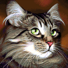 Lade das Bild in den Galerie-Viewer, Stickpackung mit Perlen "grünäugige Katze"