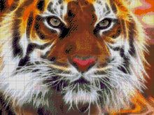 Lade das Bild in den Galerie-Viewer, Stickpackung mit Perlen "Amur Tiger"