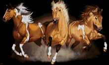 Lade das Bild in den Galerie-Viewer, Stickpackung mit Perlen "Drei Pferde"