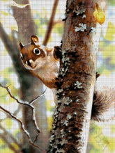 Lade das Bild in den Galerie-Viewer, Stickpackung mit Perlen "Eichhörnchen"