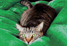 Lade das Bild in den Galerie-Viewer, Stickpackung mit Perlen "Erfolgreiche Jagd"