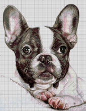Lade das Bild in den Galerie-Viewer, Stickpackung mit Perlen "Französische Bulldogge"