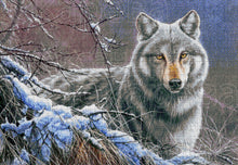 Lade das Bild in den Galerie-Viewer, Stickpackung mit Perlen "Im Walddickicht"