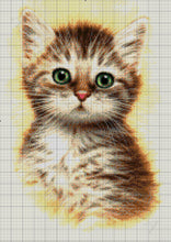 Lade das Bild in den Galerie-Viewer, Stickpackung mit Perlen "Katzenbaby"