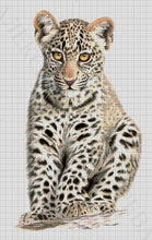 Lade das Bild in den Galerie-Viewer, Stickpackung mit Perlen "Kleines Raubtier"