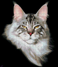 Lade das Bild in den Galerie-Viewer, Stickpackung mit Perlen "Maine coon tabby"