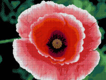 Lade das Bild in den Galerie-Viewer, Stickpackung mit Perlen "Mohnblumen"