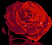 Lade das Bild in den Galerie-Viewer, Stickpackung mit Perlen "Rose 18"