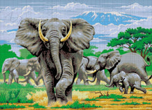 Lade das Bild in den Galerie-Viewer, Stickpackung mit Perlen "Safari"