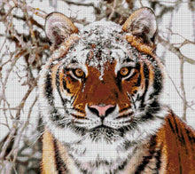 Lade das Bild in den Galerie-Viewer, Stickpackung mit Perlen "Sibirischer Tiger"