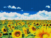 Lade das Bild in den Galerie-Viewer, Stickpackung mit Perlen "Sonnenblumen"