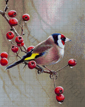 Lade das Bild in den Galerie-Viewer, Stickpackung mit Perlen "Stieglitz"