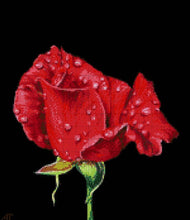 Lade das Bild in den Galerie-Viewer, Stickpackung mit Perlen "Die Tautropfen"