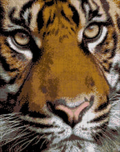 Lade das Bild in den Galerie-Viewer, Stickpackung mit Perlen "Ein Tiger"
