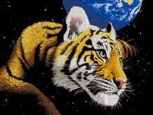 Lade das Bild in den Galerie-Viewer, Stickpackung mit Perlen "Tiger Planet"