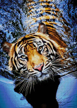 Lade das Bild in den Galerie-Viewer, Stickpackung mit Perlen "Tiger im Fluss"