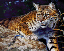 Lade das Bild in den Galerie-Viewer, Stickpackung mit Perlen "Treffen auf der Jagd"