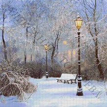 Lade das Bild in den Galerie-Viewer, Stickpackung mit Perlen "Winterpark"