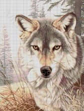 Lade das Bild in den Galerie-Viewer, Stickpackung mit Perlen "Wolfsblick"