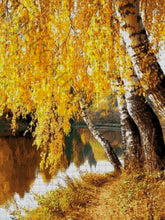 Lade das Bild in den Galerie-Viewer, Stickpackung mit Perlen "goldene Birke"