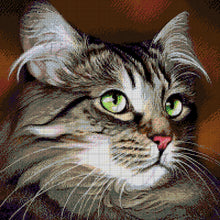 Lade das Bild in den Galerie-Viewer, Stickpackung mit Perlen "grünäugige Katze"