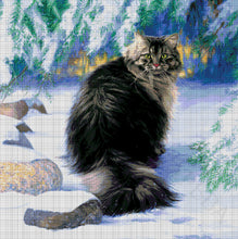 Lade das Bild in den Galerie-Viewer, Stickpackung mit Perlen "prächtiger Kater"