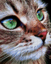 Lade das Bild in den Galerie-Viewer, Stickpackung mit Perlen "wachsame Katze"