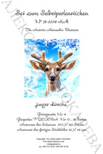 Lade das Bild in den Galerie-Viewer, Stickpackung mit Perlen "junger Hirsche"