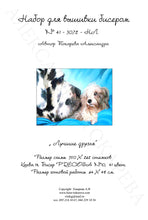 Lade das Bild in den Galerie-Viewer, Stickpackung mit Perlen "Besten Freunde"