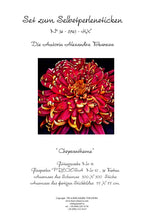Lade das Bild in den Galerie-Viewer, Stickpackung mit Perlen "Chrysantheme"