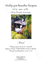 Lade das Bild in den Galerie-Viewer, Stickpackung mit Perlen "Der Tanz"