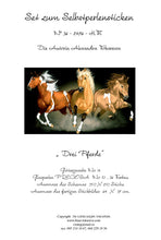 Lade das Bild in den Galerie-Viewer, Stickpackung mit Perlen "Drei Pferde"