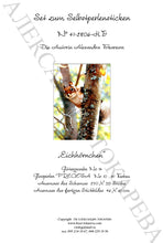 Lade das Bild in den Galerie-Viewer, Stickpackung mit Perlen "Eichhörnchen"