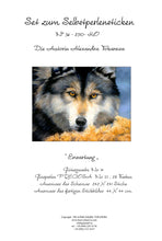 Lade das Bild in den Galerie-Viewer, Stickpackung mit Perlen "Erwartung"